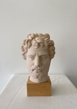 Load image into Gallery viewer, Hadrian Roman Emperor Bust on Wood Base
